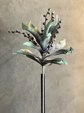 Follaje Botánica Bolitas