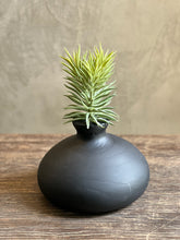 Follaje Pencil Succulent Pick