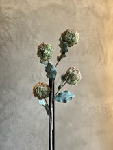 Follaje Botánica Bolas #3225