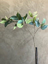 Follaje Eucalyptus Spray Chico