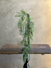 Follaje Pepper Berry