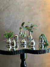 Set de Bases Plateadas