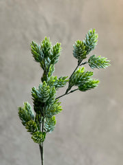 Follaje Hops Spray