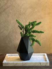 Follaje Succulent Branch