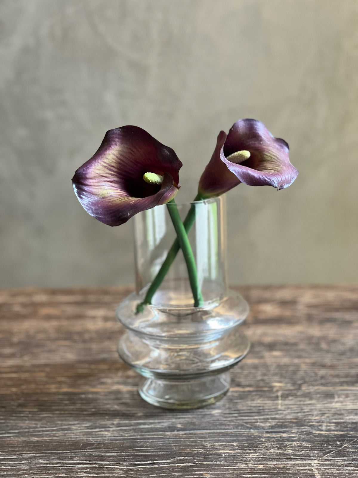 Follaje Calla Lily