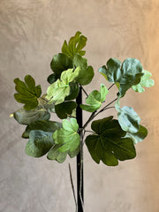 Follaje Fig Leaf Spray