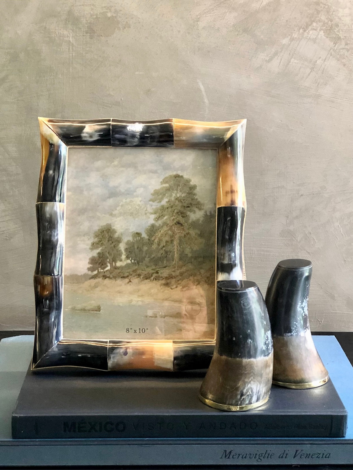 Set de Bookends de Cuerno