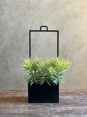 Follaje Pencil Succulent Pick