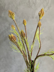 Follaje Protea Spray