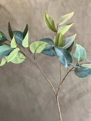 Follaje Eucalyptus Spray Chico