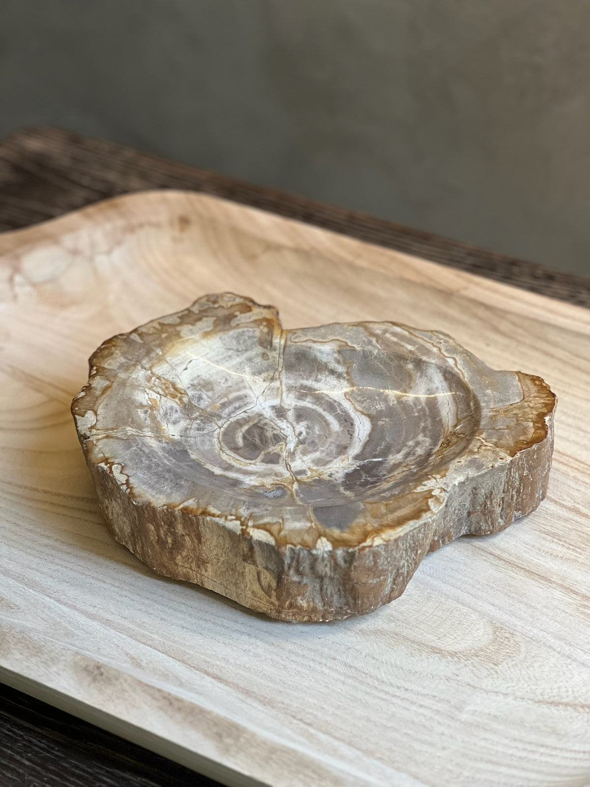 Bowl Petrificado