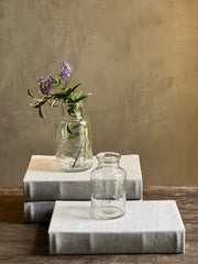 Bote de Vidrio Pepita