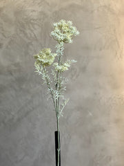 Follaje Rama Flores Silvestres