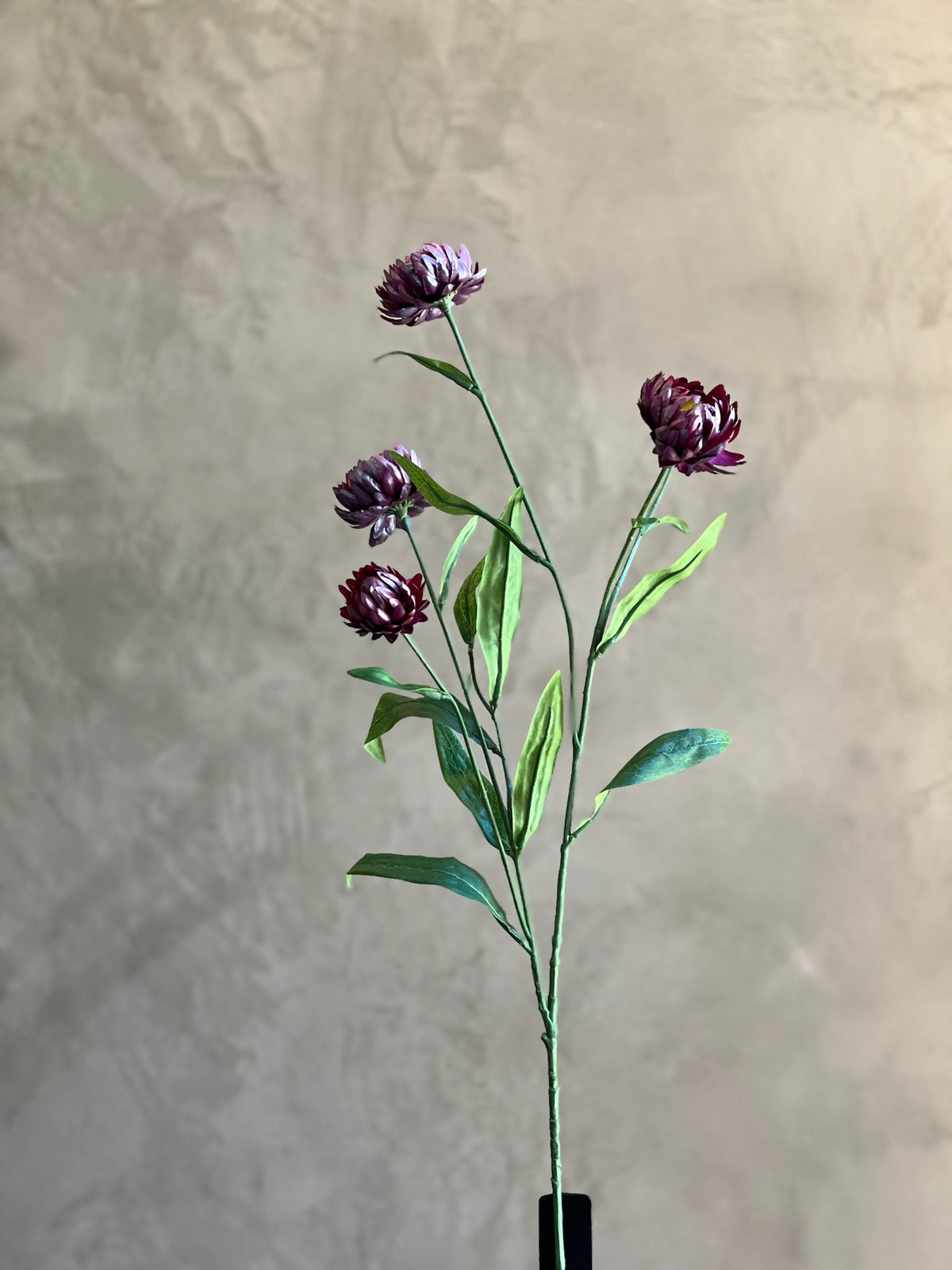 Follaje Flor de Paja