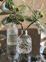 Bases de Cristal