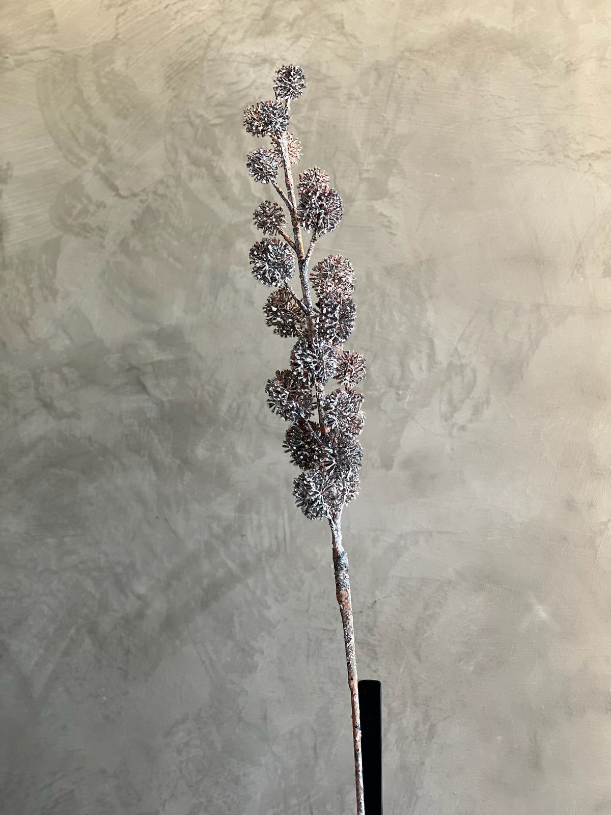 Follaje Rama Bolas Silvestre