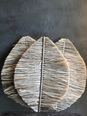 Hoja Rafia