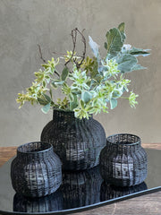 Follaje Dusty Miller