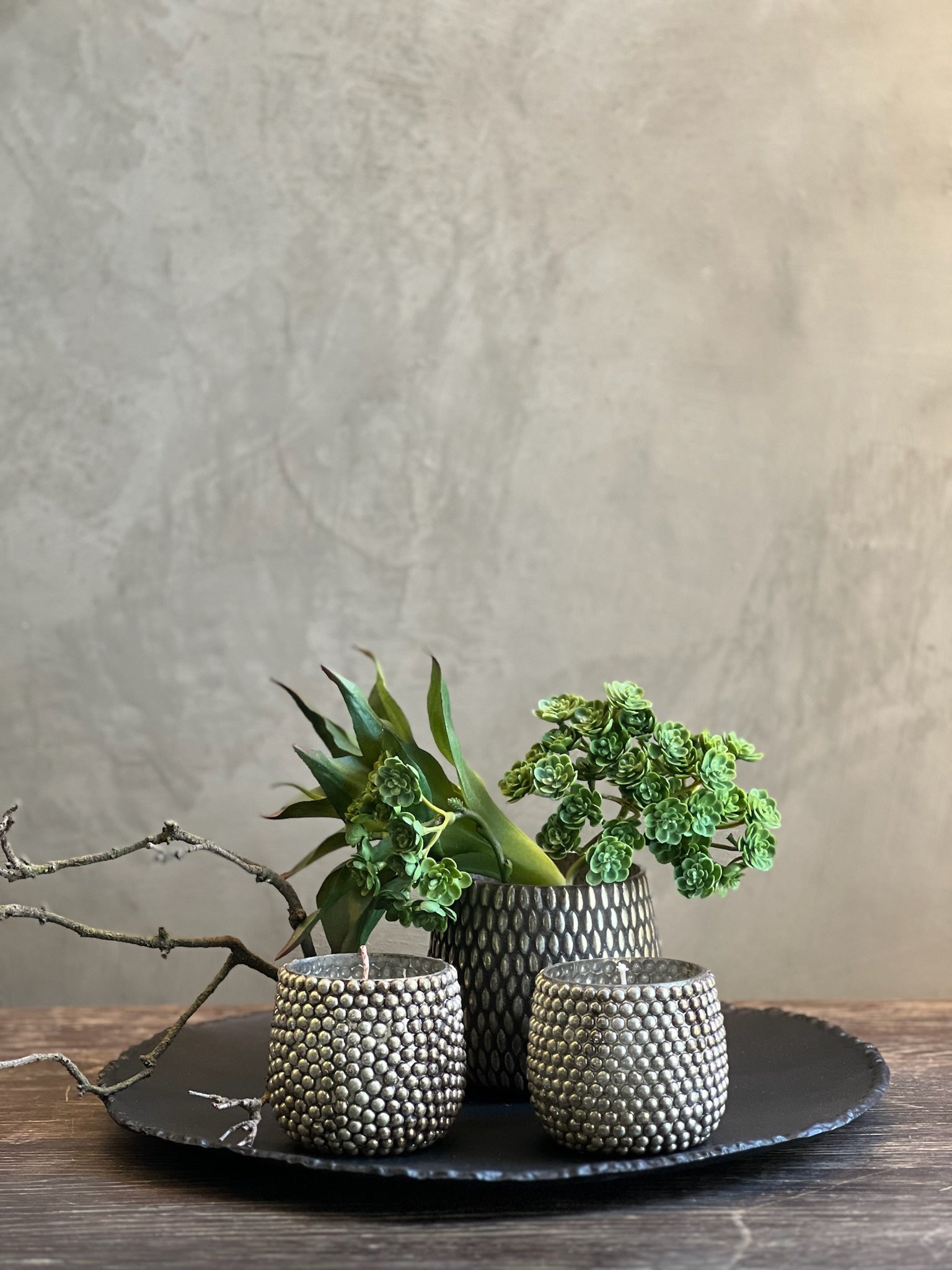 Follaje Dracena