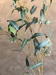 Follaje Eucalyptus Spray Grande