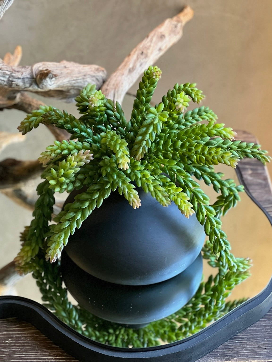 Jarrón Madera Paulownia