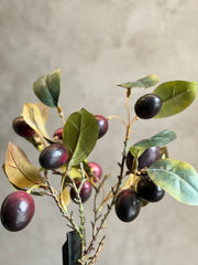 Follaje Ciruelas