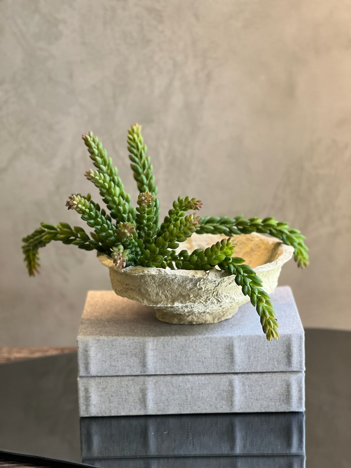 Bowl Gelan Maché