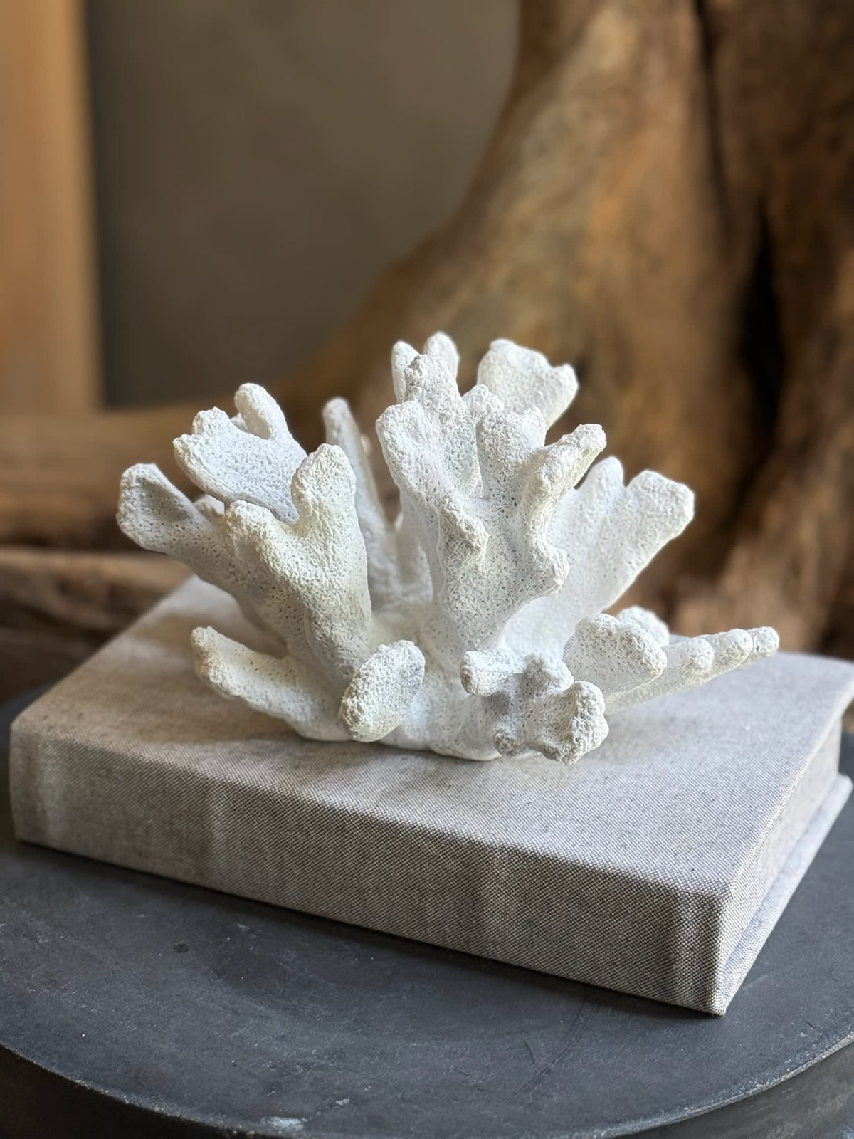 Coral Blanco