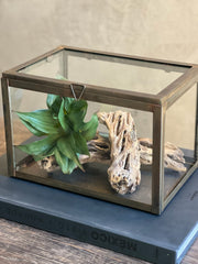 Caja Hierro Vidrio