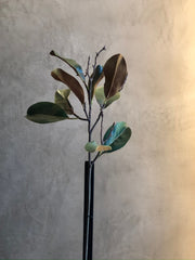 Follaje Mangonia Leaf Pink