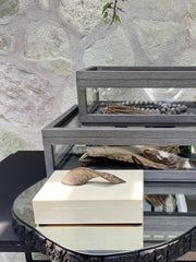 Caja Asili