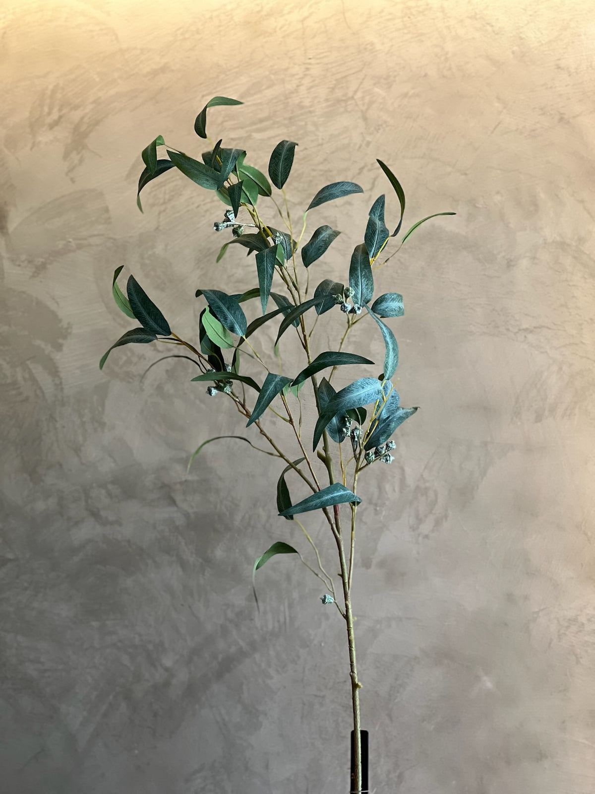 Follaje Eucalyptus Spray Grande