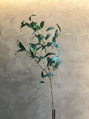 Follaje Eucalyptus Spray Grande