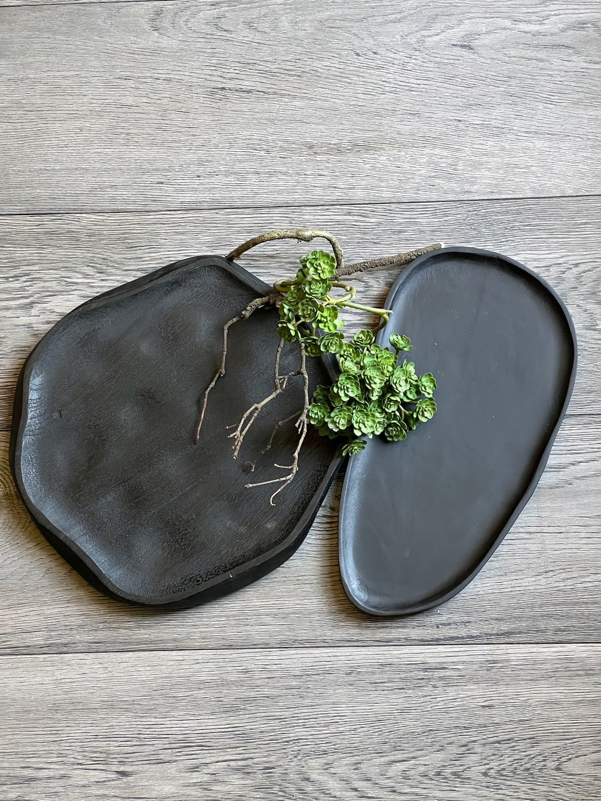 Charolas Robina y Bessonia