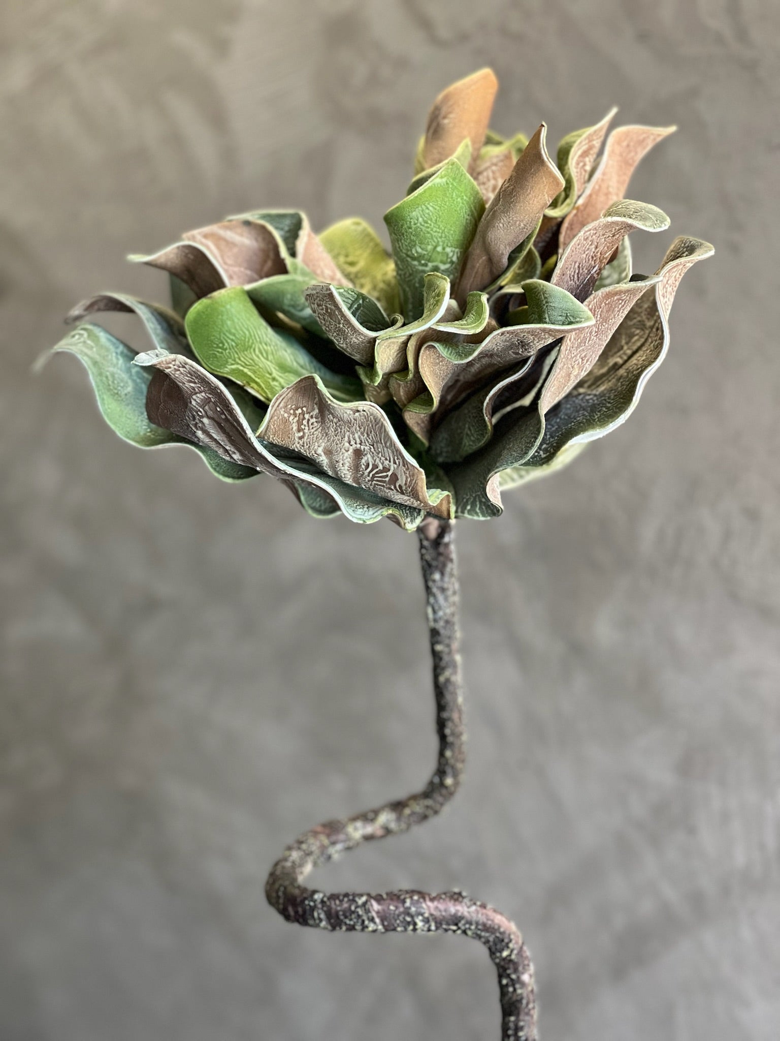 Follaje Flor Ondulada