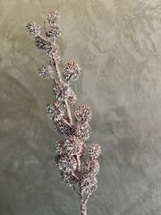 Follaje Rama Bolas Silvestre