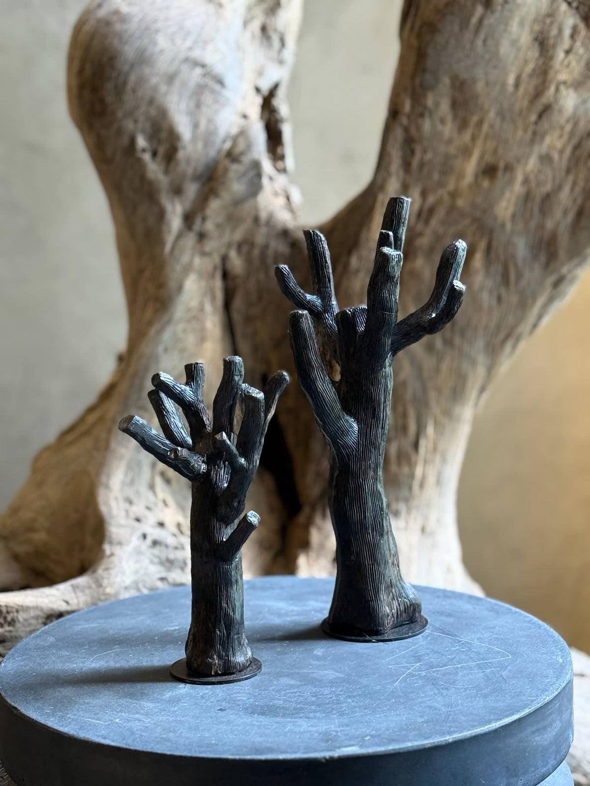 Estatuas de Ramamas de Árbol