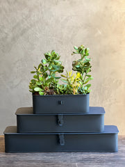 Caja Larga Latón Rectangular Negra